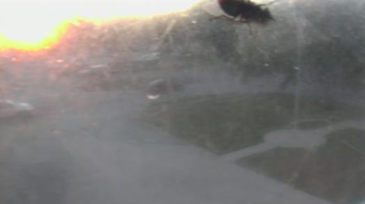 Weather camera view of City of League City Fire Station 4.