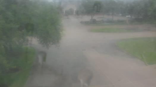 Weather camera view of City of League City Fire Station 4.