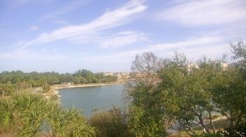 Weather camera view of Lakewood Ranch Town Hall.