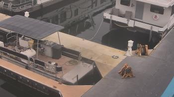 Weather camera view of Lake Powell Resorts and Marinas - Wahweap Marina.