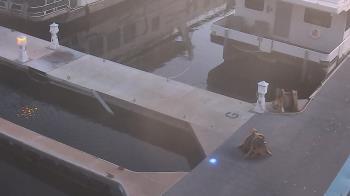 Weather camera view of Lake Powell Resorts and Marinas - Wahweap Marina.