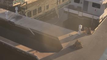 Weather camera view of Lake Powell Resorts and Marinas - Wahweap Marina.