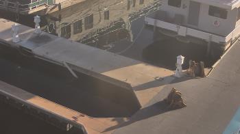 Weather camera view of Lake Powell Resorts and Marinas - Wahweap Marina.