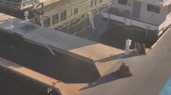 Weather camera view of Lake Powell Resorts and Marinas - Wahweap Marina.