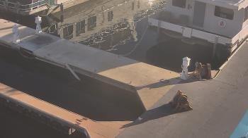 Weather camera view of Lake Powell Resorts and Marinas - Wahweap Marina.