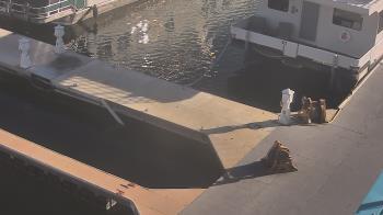 Weather camera view of Lake Powell Resorts and Marinas - Wahweap Marina.