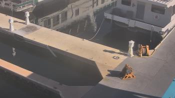 Weather camera view of Lake Powell Resorts and Marinas - Wahweap Marina.