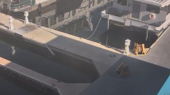 Weather camera view of Lake Powell Resorts and Marinas - Wahweap Marina.