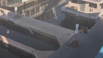 Weather camera view of Lake Powell Resorts and Marinas - Wahweap Marina.