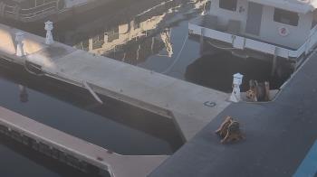 Weather camera view of Lake Powell Resorts and Marinas - Wahweap Marina.