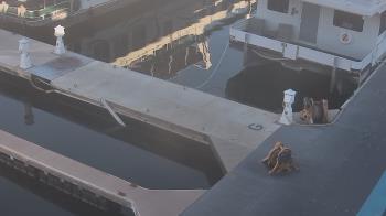 Weather camera view of Lake Powell Resorts and Marinas - Wahweap Marina.