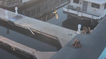 Weather camera view of Lake Powell Resorts and Marinas - Wahweap Marina.