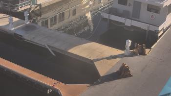 Weather camera view of Lake Powell Resorts and Marinas - Wahweap Marina.