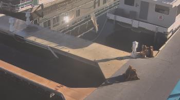 Weather camera view of Lake Powell Resorts and Marinas - Wahweap Marina.