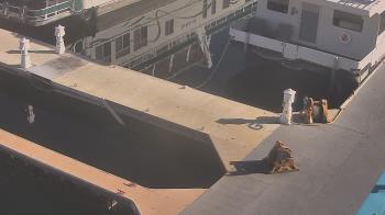 Weather camera view of Lake Powell Resorts and Marinas - Wahweap Marina.