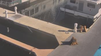 Weather camera view of Lake Powell Resorts and Marinas - Wahweap Marina.