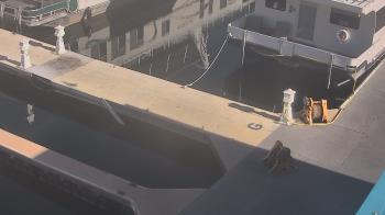 Weather camera view of Lake Powell Resorts and Marinas - Wahweap Marina.