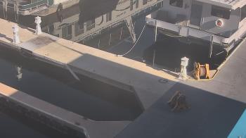 Weather camera view of Lake Powell Resorts and Marinas - Wahweap Marina.