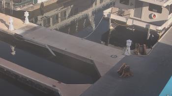 Weather camera view of Lake Powell Resorts and Marinas - Wahweap Marina.