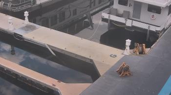 Weather camera view of Lake Powell Resorts and Marinas - Wahweap Marina.