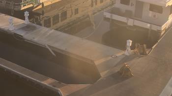 Weather camera view of Lake Powell Resorts and Marinas - Wahweap Marina.