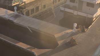 Weather camera view of Lake Powell Resorts and Marinas - Wahweap Marina.