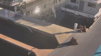 Weather camera view of Lake Powell Resorts and Marinas - Wahweap Marina.