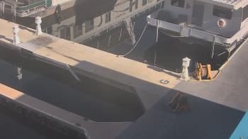 Weather camera view of Lake Powell Resorts and Marinas - Wahweap Marina.