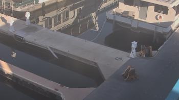 Weather camera view of Lake Powell Resorts and Marinas - Wahweap Marina.