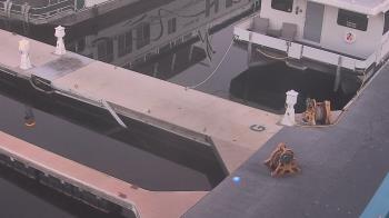 Weather camera view of Lake Powell Resorts and Marinas - Wahweap Marina.