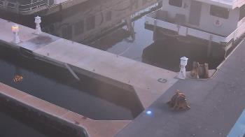 Weather camera view of Lake Powell Resorts and Marinas - Wahweap Marina.