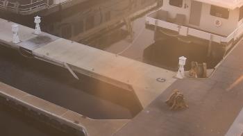 Weather camera view of Lake Powell Resorts and Marinas - Wahweap Marina.