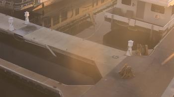 Weather camera view of Lake Powell Resorts and Marinas - Wahweap Marina.