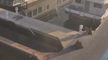 Weather camera view of Lake Powell Resorts and Marinas - Wahweap Marina.