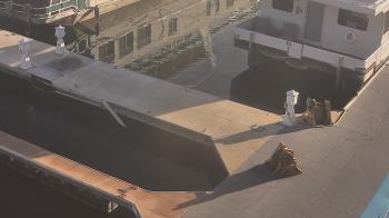 Weather camera view of Lake Powell Resorts and Marinas - Wahweap Marina.