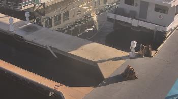 Weather camera view of Lake Powell Resorts and Marinas - Wahweap Marina.