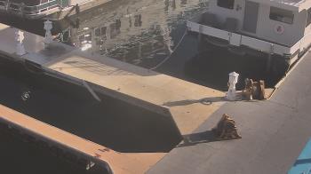 Weather camera view of Lake Powell Resorts and Marinas - Wahweap Marina.