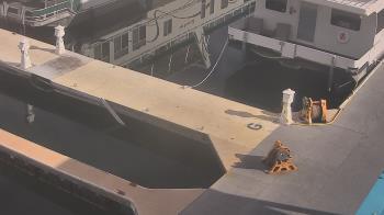 Weather camera view of Lake Powell Resorts and Marinas - Wahweap Marina.