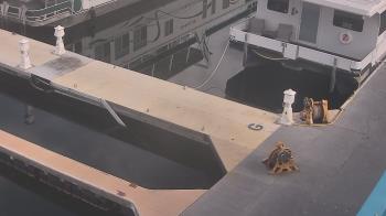 Weather camera view of Lake Powell Resorts and Marinas - Wahweap Marina.