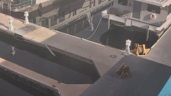 Weather camera view of Lake Powell Resorts and Marinas - Wahweap Marina.