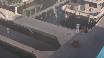 Weather camera view of Lake Powell Resorts and Marinas - Wahweap Marina.