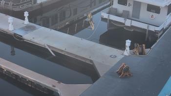 Weather camera view of Lake Powell Resorts and Marinas - Wahweap Marina.