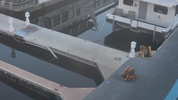 Weather camera view of Lake Powell Resorts and Marinas - Wahweap Marina.