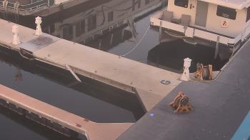 Weather camera view of Lake Powell Resorts and Marinas - Wahweap Marina.