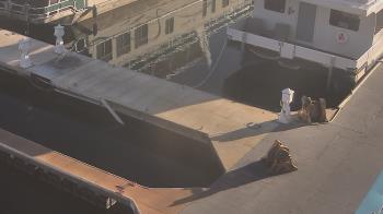 Weather camera view of Lake Powell Resorts and Marinas - Wahweap Marina.