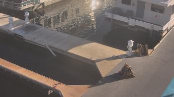 Weather camera view of Lake Powell Resorts and Marinas - Wahweap Marina.