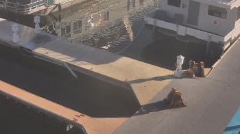 Weather camera view of Lake Powell Resorts and Marinas - Wahweap Marina.