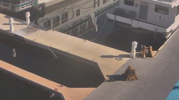 Weather camera view of Lake Powell Resorts and Marinas - Wahweap Marina.