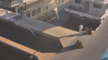 Weather camera view of Lake Powell Resorts and Marinas - Wahweap Marina.