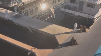 Weather camera view of Lake Powell Resorts and Marinas - Wahweap Marina.